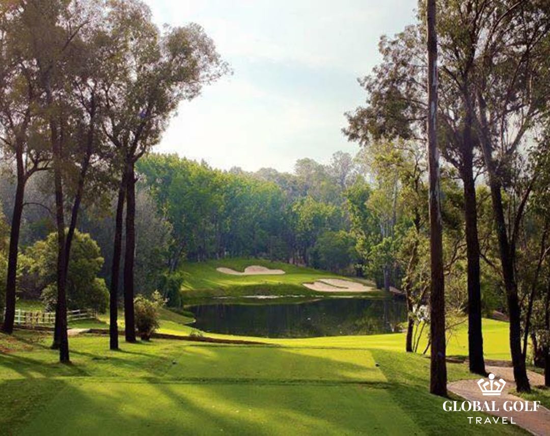 Top 10 sân golf tốt nhất Nam Phi