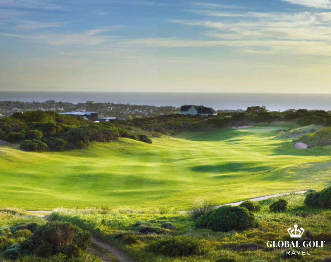 St Francis Links