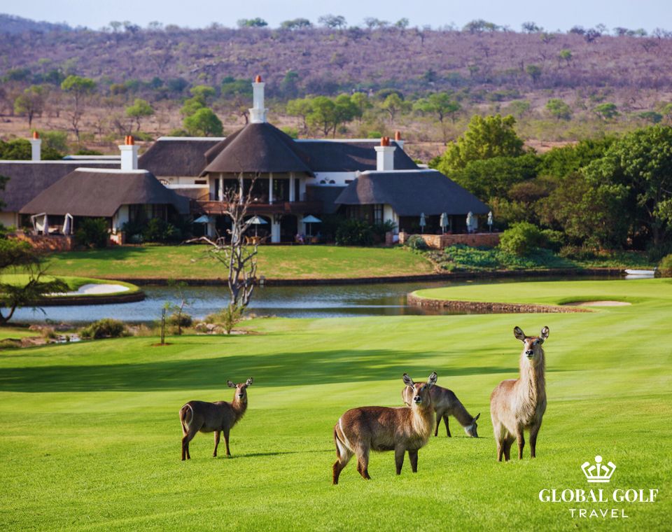 Top 10 sân golf tốt nhất châu Phi