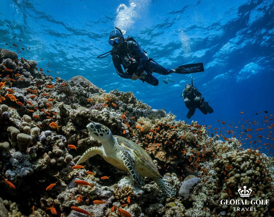 Cẩm nang kinh nghiệm du lịch golf Mauritius dành cho golfer Việt